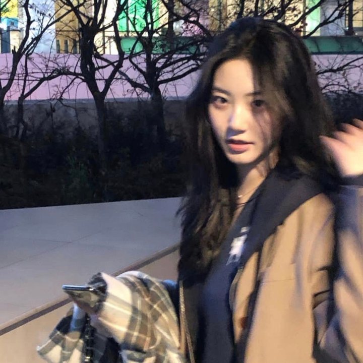 乱世伤痕:末代总督的秘密